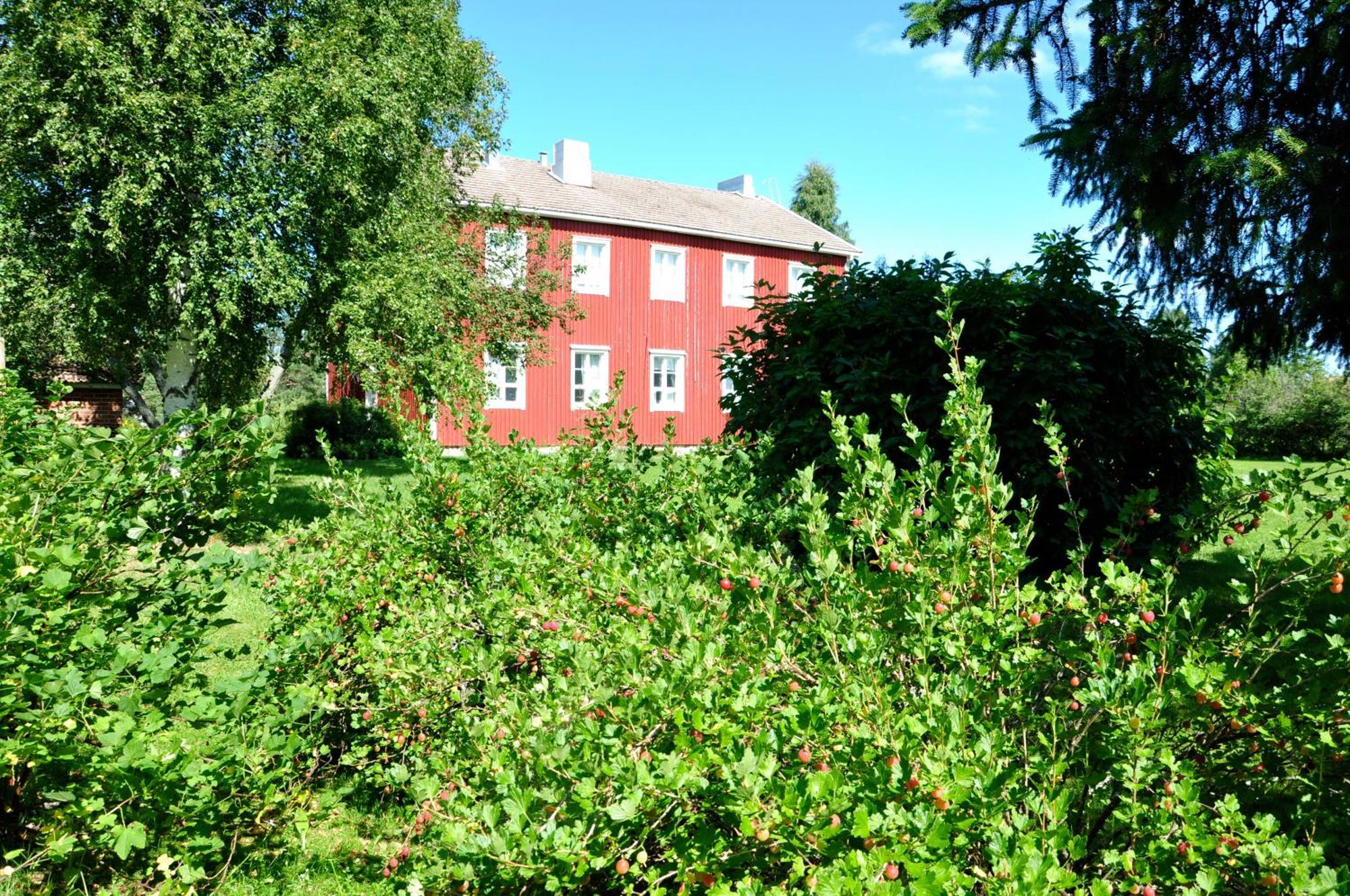 Opintola Bed & Breakfast Norinkylä エクステリア 写真